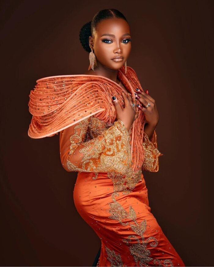 NIGERAIN ORANGE COLOUR BEADED GEORGE FABRIC - Image 1